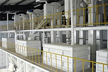 100 Tons rice mill plant project in Juxian